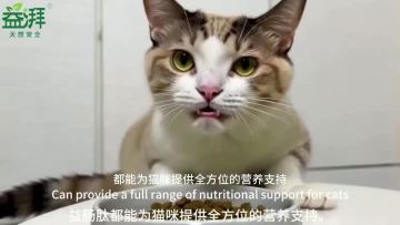 Pet Joint and Bone Supplements