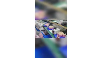 VNT Disposable Vape 