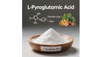 L-Pyroglutamic Acid