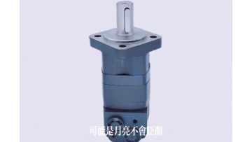 Rear Mounting Flange (OMS) Disc Distribution Motor