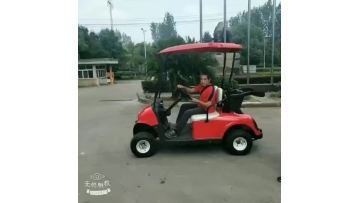 EZGO style 2 seat red electric golf cart dynamic video.mp4