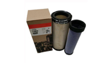 Wholesale China manufacturer replacement brand auto parts auto air filter P532410 AF253081