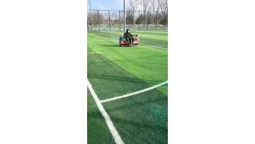 synthetic lawn turf