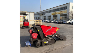 XN800 0.8Ton Dumper 