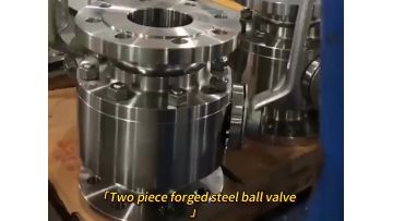 Two Piece Flange Ball Valve