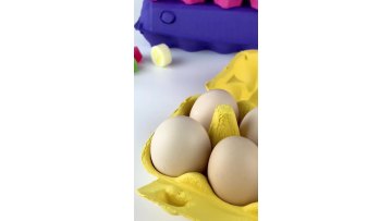 Best Sell Custom Printed Eco Friendly Bulk Egg Cartons1