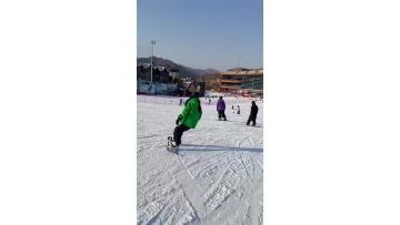 skier show video