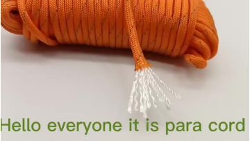 PARACORD 100FT/BUNDLE