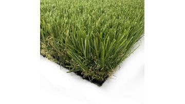 landscape grass details