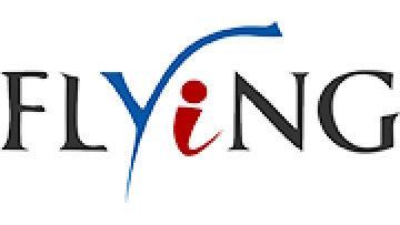 Flying Electronic Co., Ltd