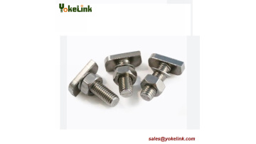 Stainless Steel T BOLT