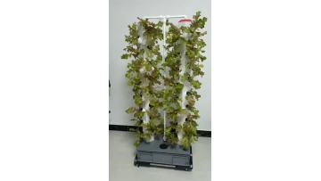 Hydroponics