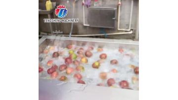 Fruit Washing Drying Sorting Line