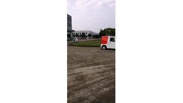 Mini Electric Express car