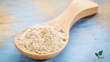  Protein Powder