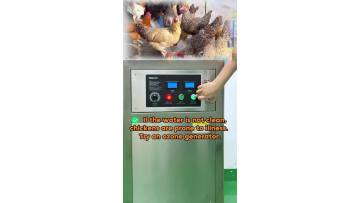 Poultry Water Disinfection – Ozone Keeps Birds Healthier