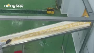 Sweet Corn Kernels