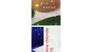 product for choline chloride