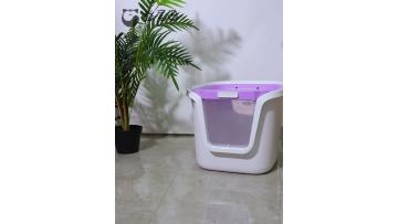 cat litter box