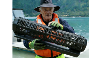 Hexagonal oyster cage for mechanical tumbling