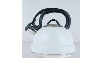Stainless steel pure white coating kettle FH-566