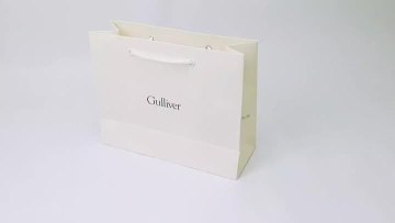 paper bag (3)