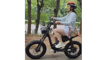A Brief Introduction For MP1 Ebike 
