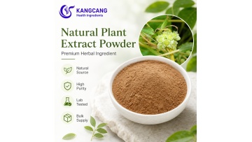 Nutraceutical Cuscuta Chinensis Dodder Seed Extract Powder