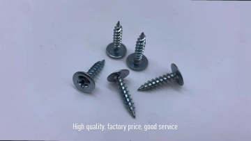 Phillips Washer Head Self-Tapping Screw1