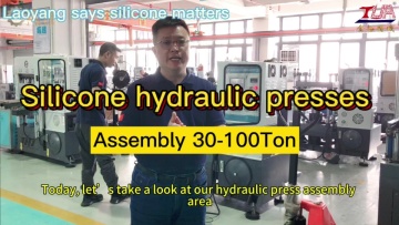 30-100Ton hydraulic press