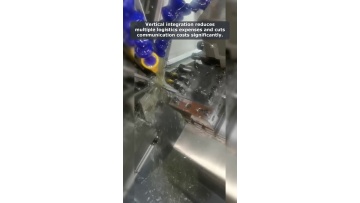 Video 4