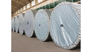 EP200 Conveyor Belt