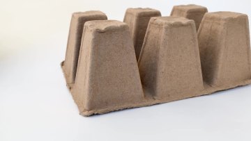 Biodegradable plant nursery flower pots, molded pulp paper pots1
