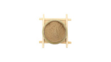 Oem Angelica Sinensis Extract: Health-Care Benefits of Angelica Root Powder1