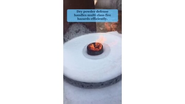 Video 55