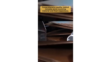 Video 8