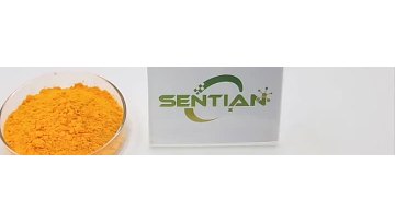 Coenzyme powder
