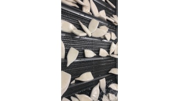 freezing and glazing of squid block 