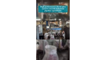 Video 17