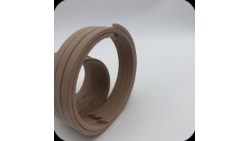 3-Excavator Cylinder Seals support ring WR