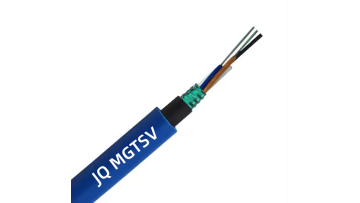 MGTSV~1