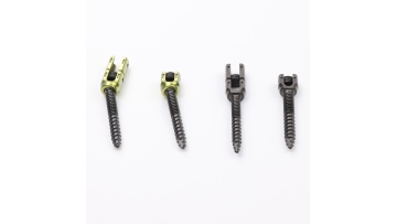 Spinal Fixation System