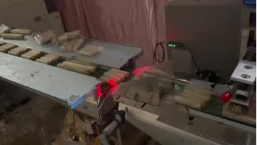 Pillow packaging machine