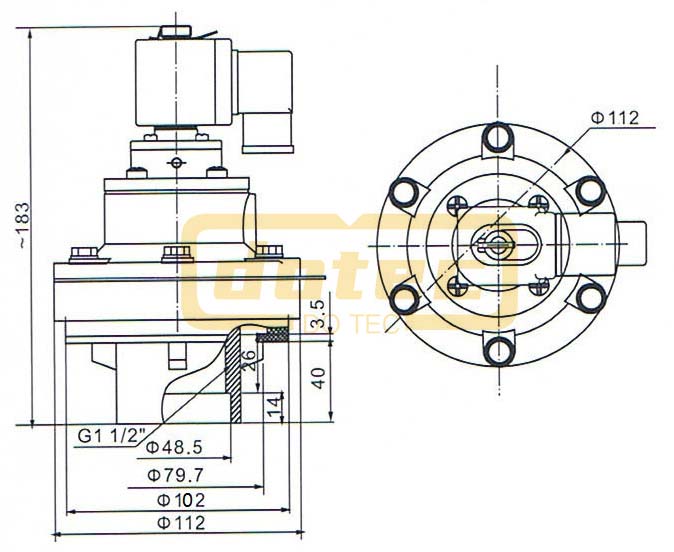 Dmf Y 40s