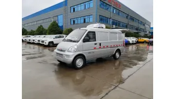 Factory Direct Wuling 4X2 Mini Refrigerated Van Truck1