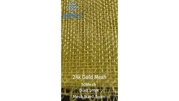 24k Gold Mesh