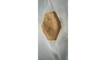 yeast powder 60%