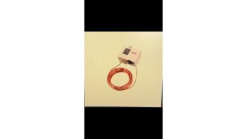 Temperature Switch