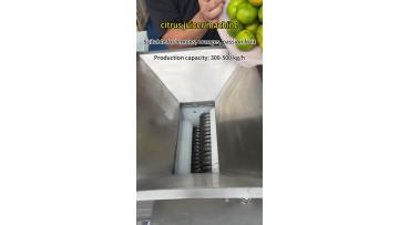 citrus juicer machine Orange juicer