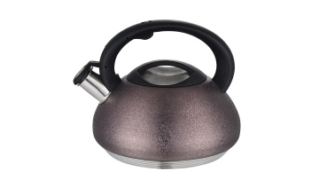 Stainless steel colored ice coating kettle FH-584
